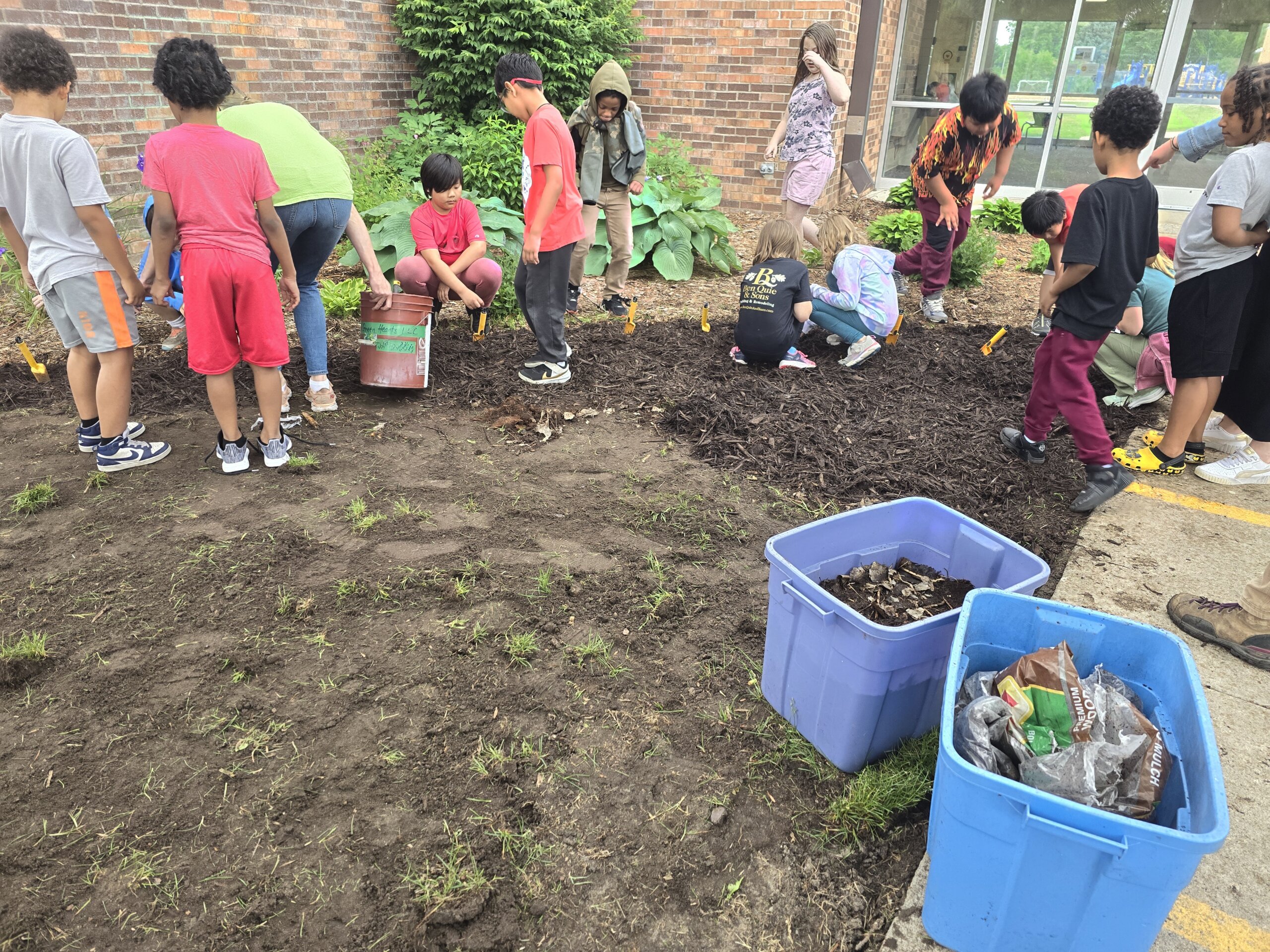 a group of elementary school students planting native plants in the ground in front of the school 