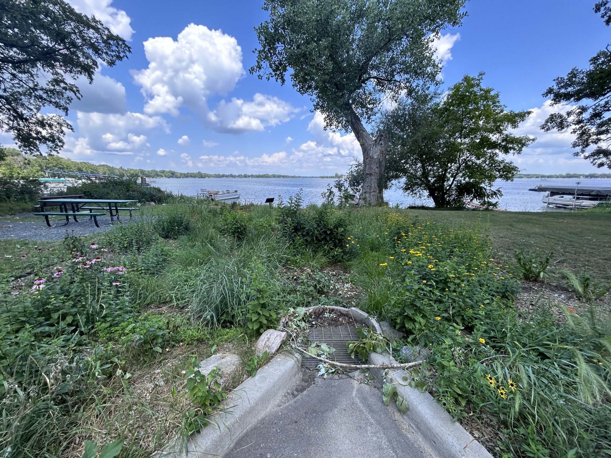 Bald Eagle Lake Rain Garden | Rice Creek Watershed District