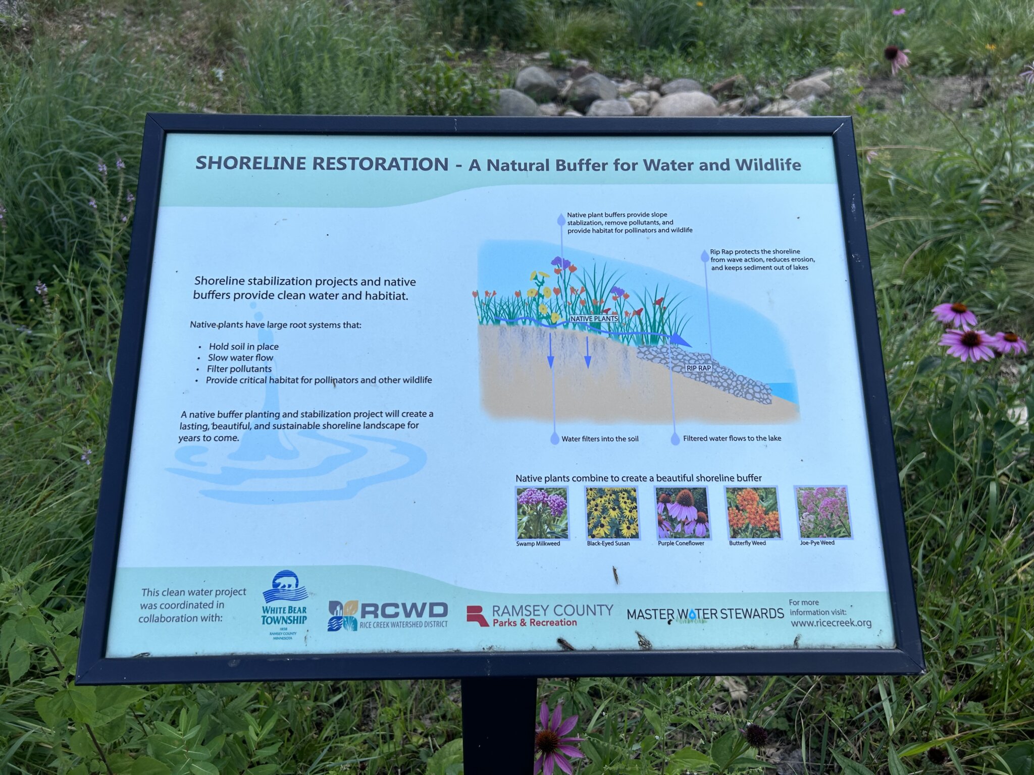 Bald Eagle Lake Rain Garden | Rice Creek Watershed District