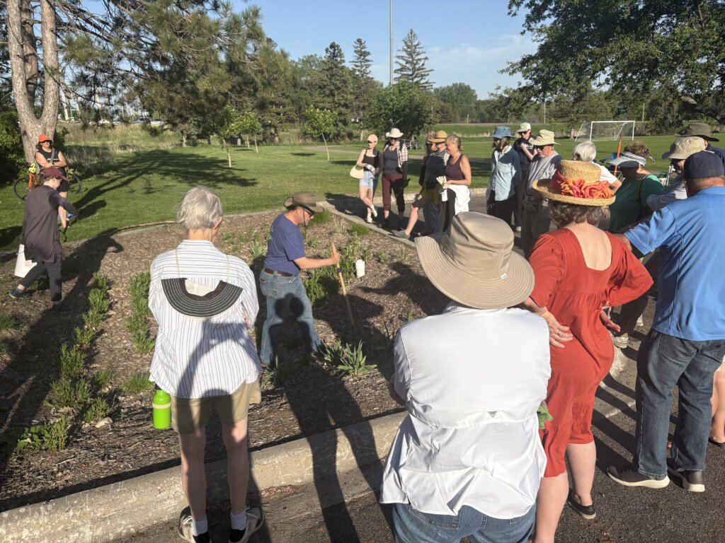 a group of people around a rain garden in Roseville, Minnesota. They are learning about rain garden maintenance.
