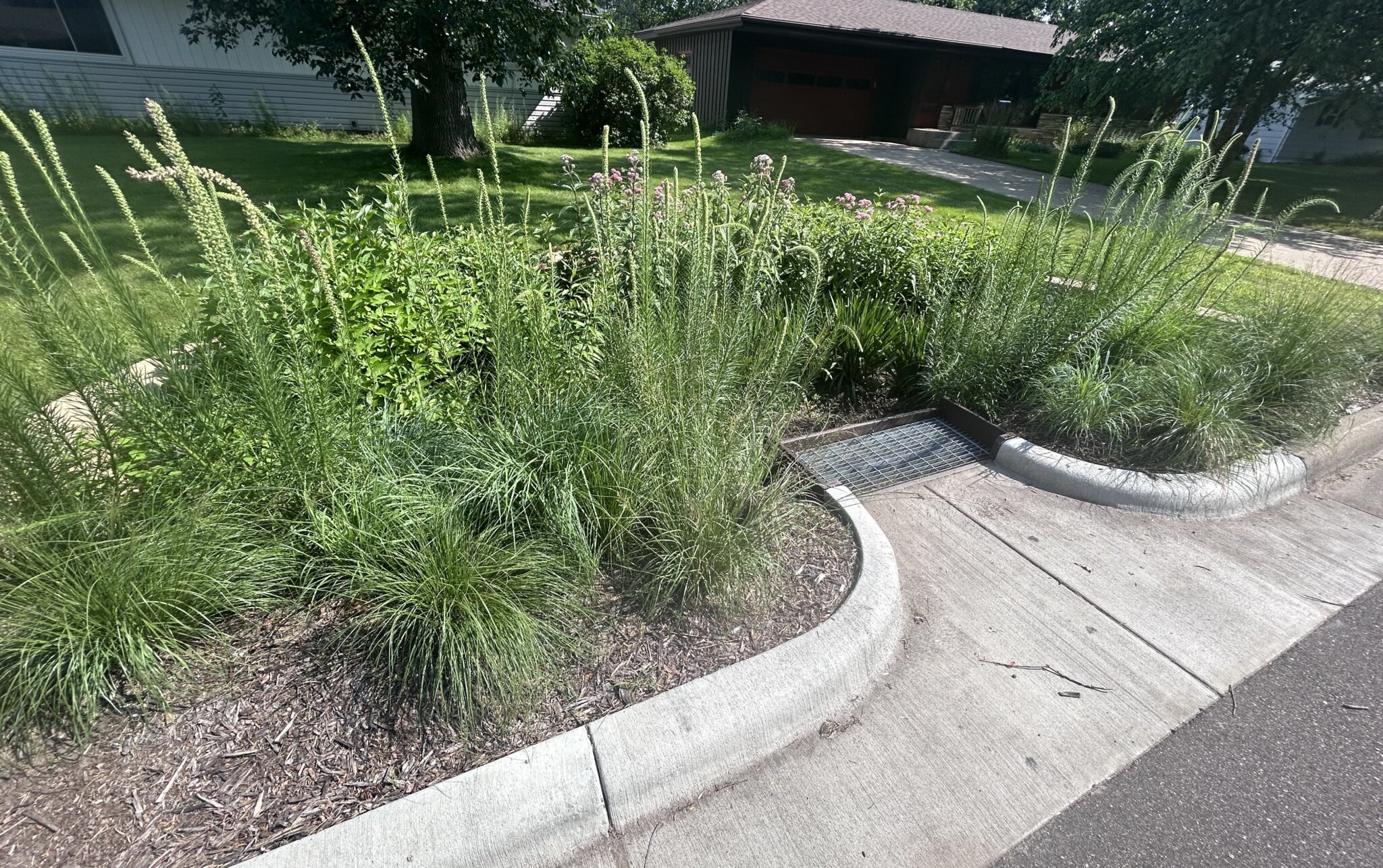 Water Quality Grants Rice Creek Watershed District